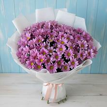 Букет цветов из:  Хризантемы в Высоцком