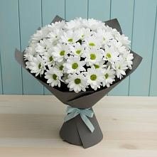 Букет цветов из:  Хризантемы в Высоцком