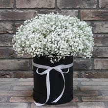 Цветочная композиция из Гипсофила в шляпной коробке в Высоцком