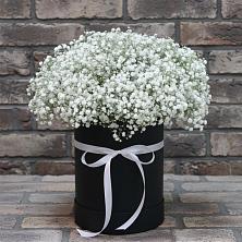 Цветочная композиция из Гипсофила в шляпной коробке в Высоцком
