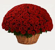 Премиум букет из: Розы в Высоцком